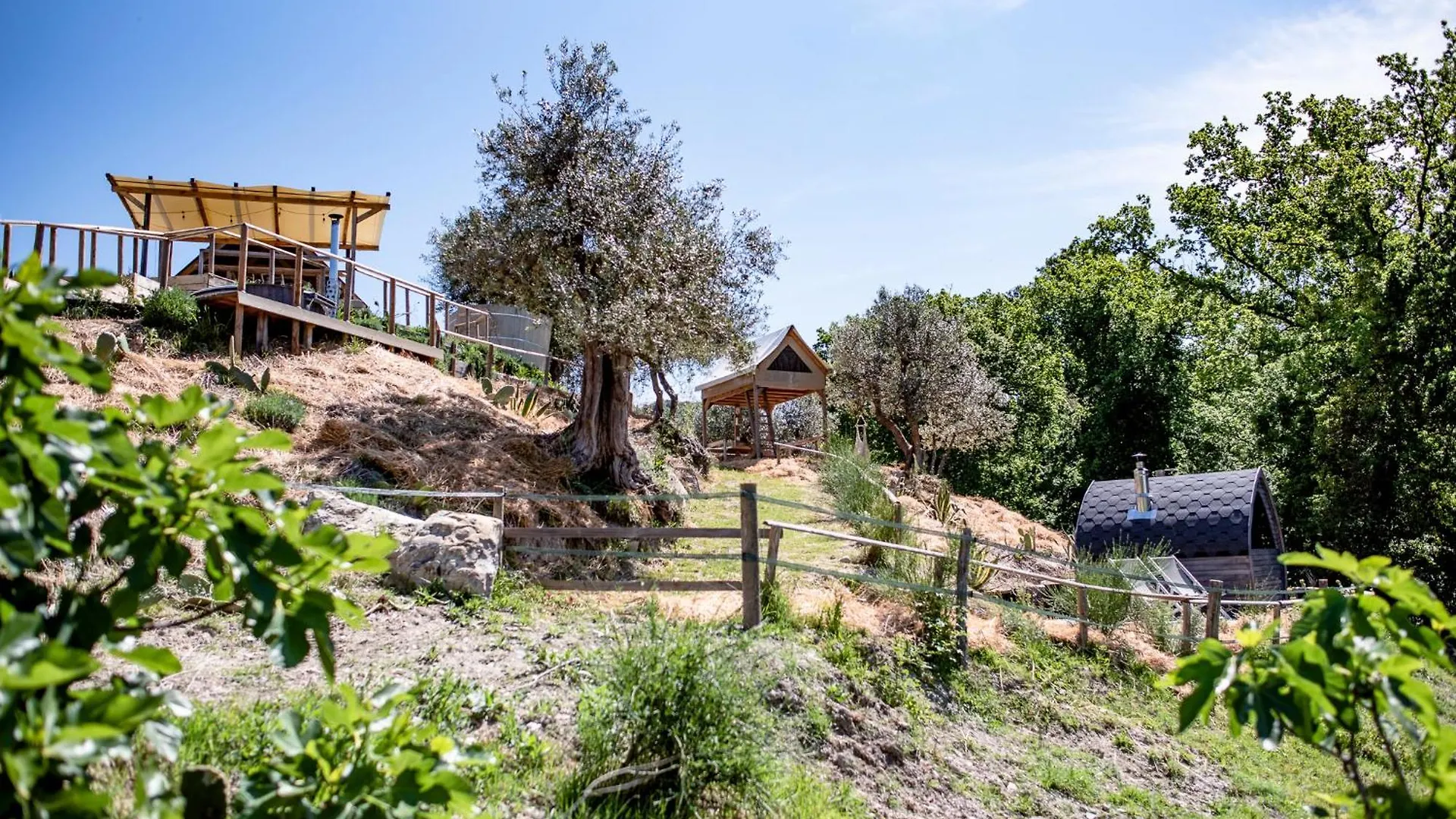 Agriturismo Podere il Fornacino Santa Luce Alloggio per agriturismo