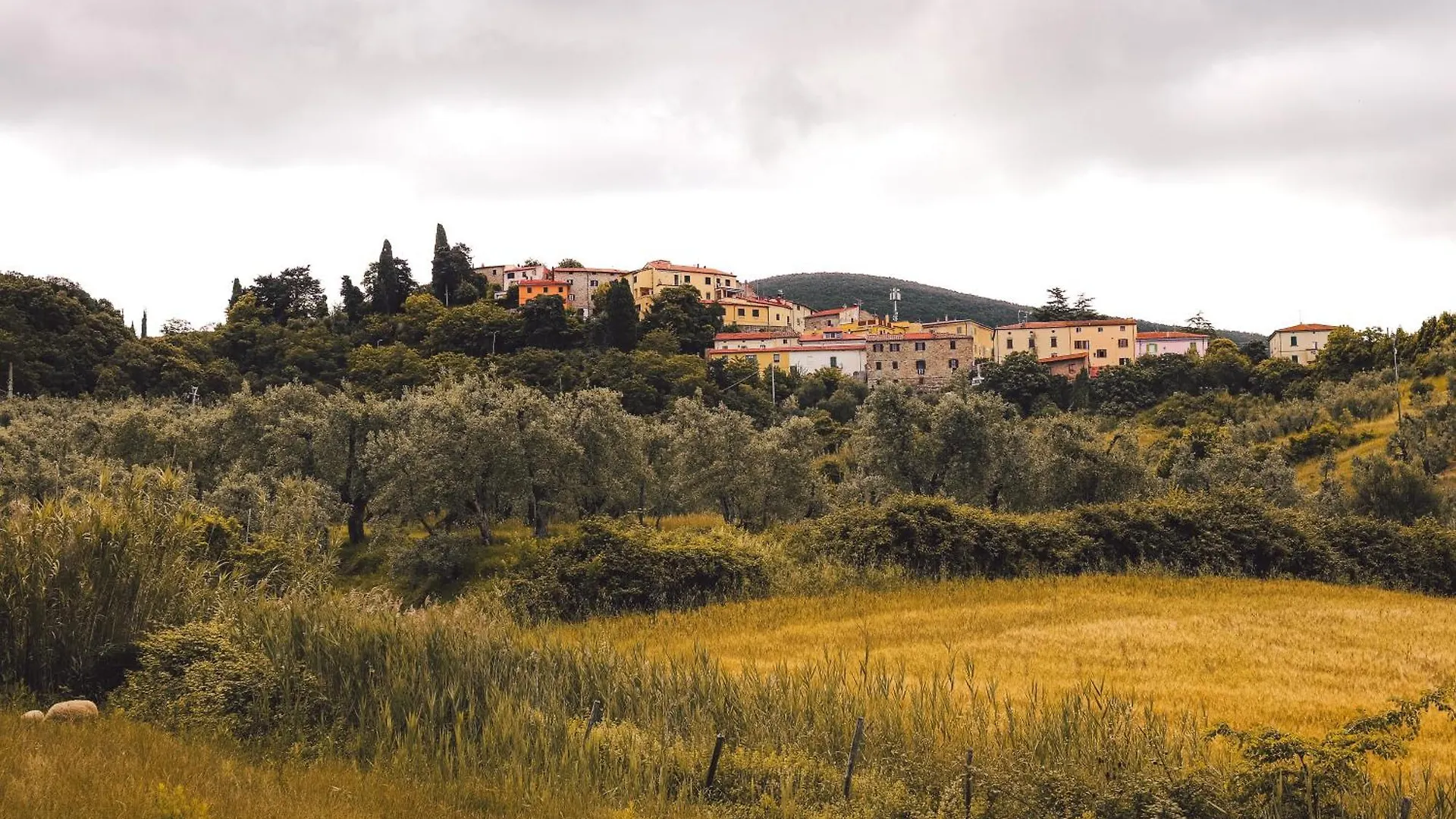 Farm stay Agriturismo Podere Il Fornacino Santa Luce Italy