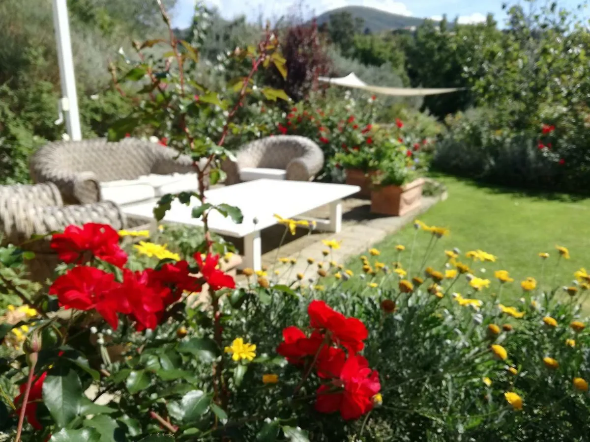 Farm stay Agriturismo Podere Il Fornacino Santa Luce