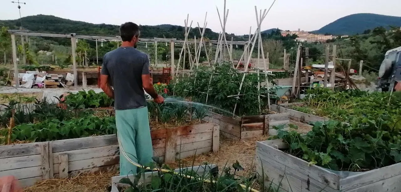 Agriturismo Podere Il Fornacino Santa Luce